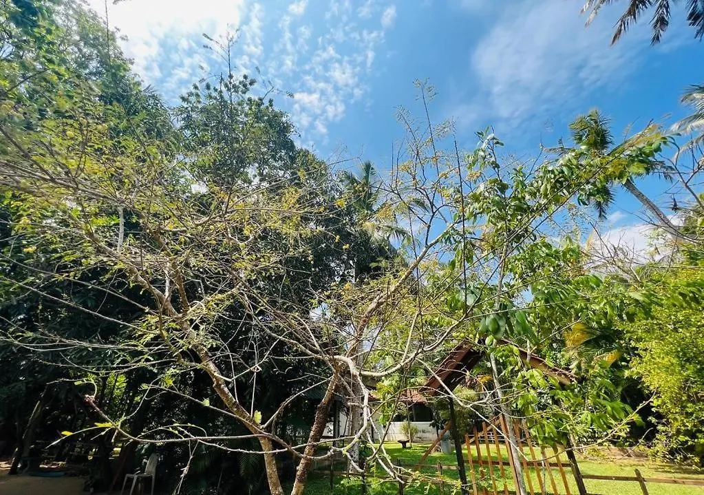Krishan Villa ネゴンボ 別荘