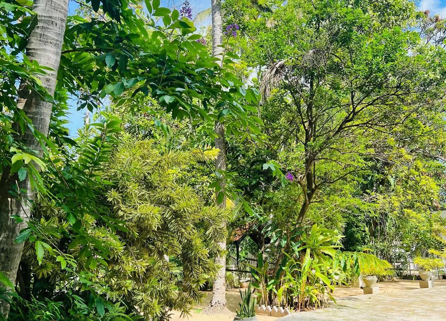 Krishan Villa ネゴンボ スリランカ
