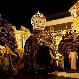 Settle Tourist , Kandy Sri Lanka