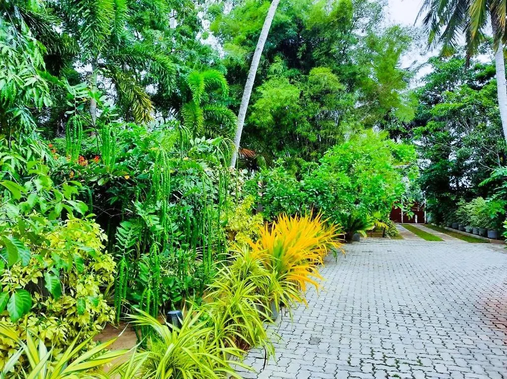 Krishan Villa Negombo Feriehus